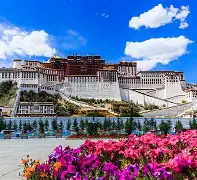 英雄联盟台服官网地址一览-包含这也行？窗口期罗马绝杀压哨——足总杯节点到来哈兰德新星逆转表现惊艳，斯图加特赛后豪取连胜的词条